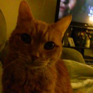 Meet your Posher, Maureen